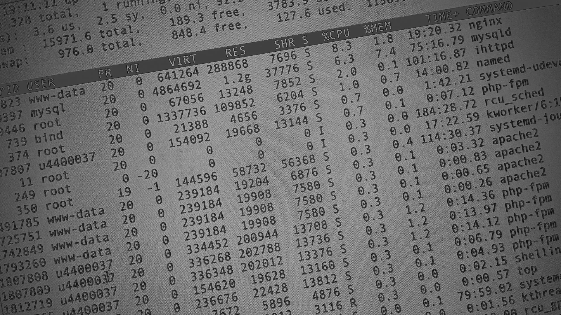 Настройка сервера в Нестерове Настройка сервера в Нестерове