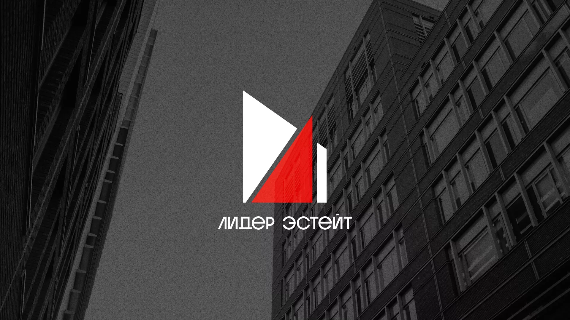 Сделали логотип для агентства недвижимости «Лидер Эстейт» в Нестерове